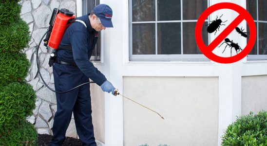 Keşap Gümüşkurt İlaçlama böcek ilaçlama ve haşere kontrolü — ilaclama-tr.com